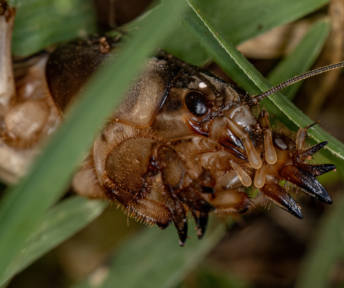 Untitled design (19)