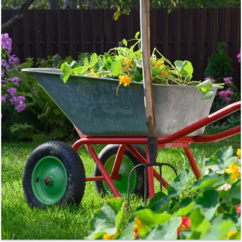 fertilization service