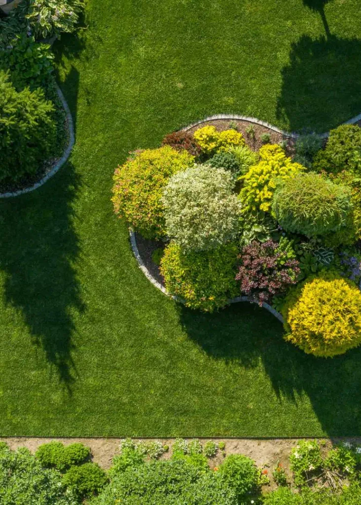 overview of a controled yard